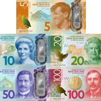 New Zealand Counterfeit Bills